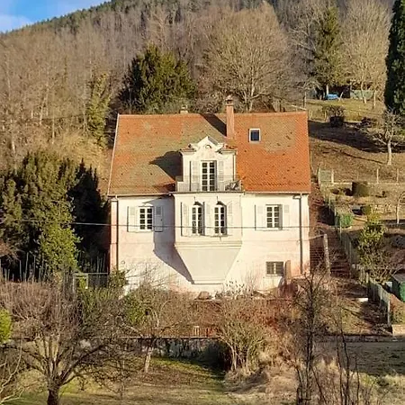 Appartement Le Kesbel Entre Strasbourg Et Colmar En Centre Alsace à Lièpvre Extérieur photo