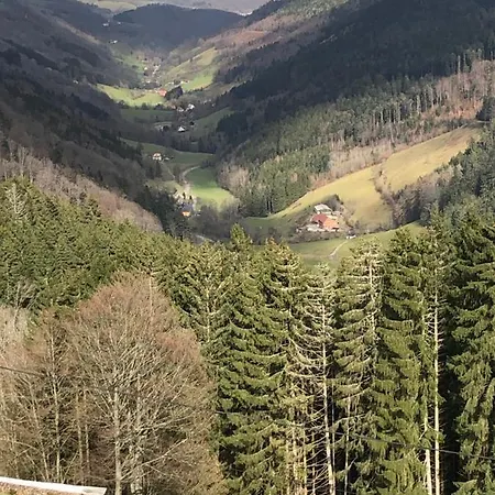 Appartement Le Kesbel Entre Strasbourg Et Colmar En Centre Alsace à Lièpvre Extérieur photo