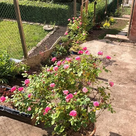 Appartement Le Kesbel Entre Strasbourg Et Colmar En Centre Alsace à Lièpvre Extérieur photo