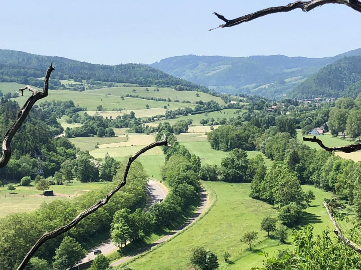 Le Kesbel Entre Strasbourg Et Colmar En Centre Alsace